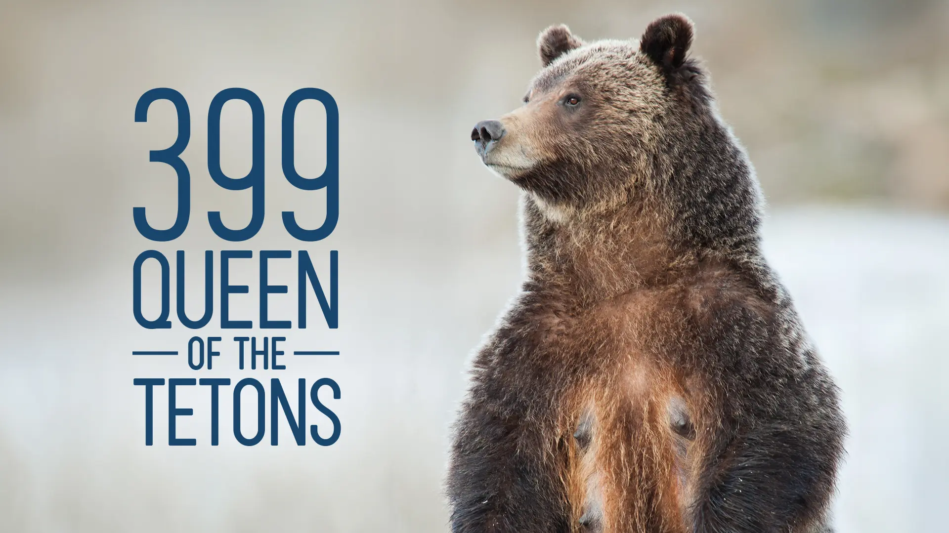399: Queen Of The Tetons