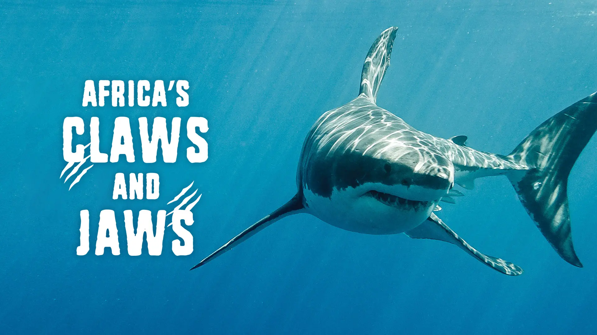 Africa’s Claws and Jaws