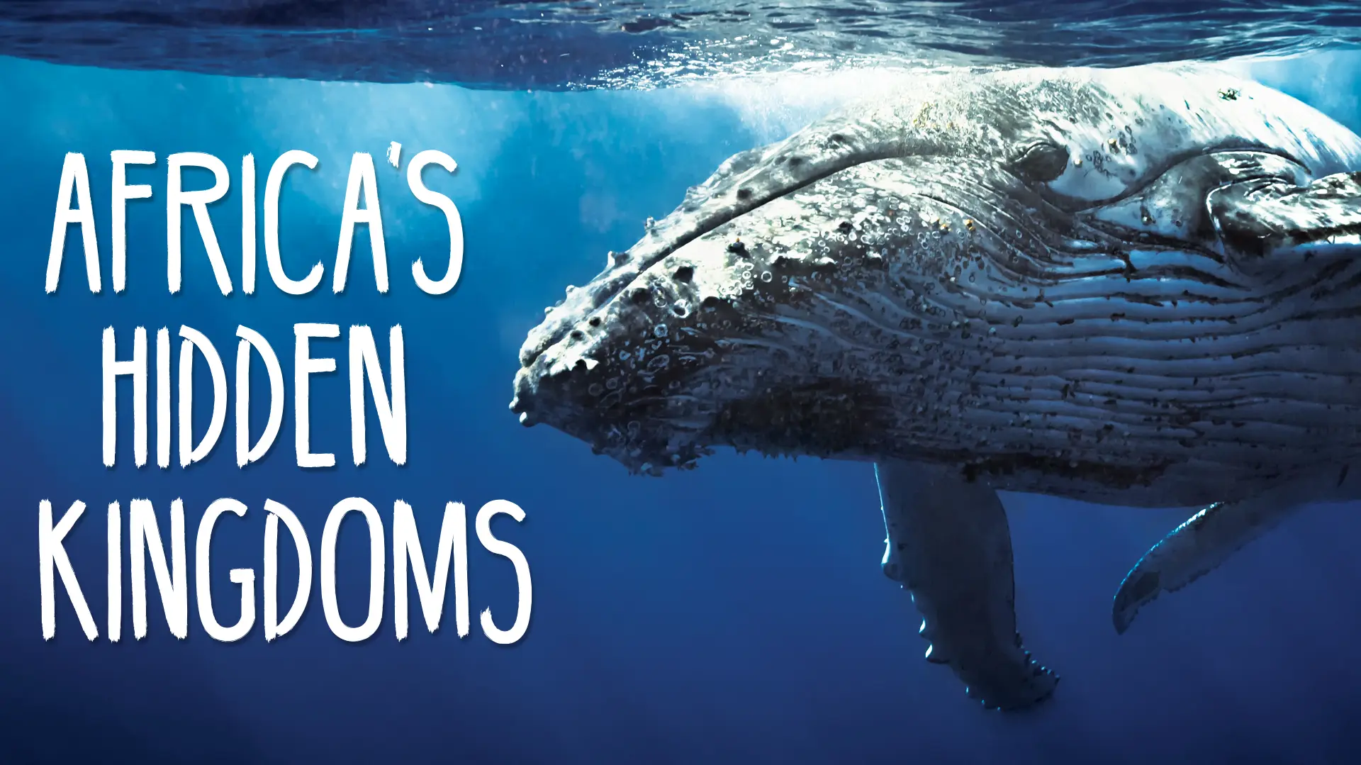 Africa's Hidden Kingdoms