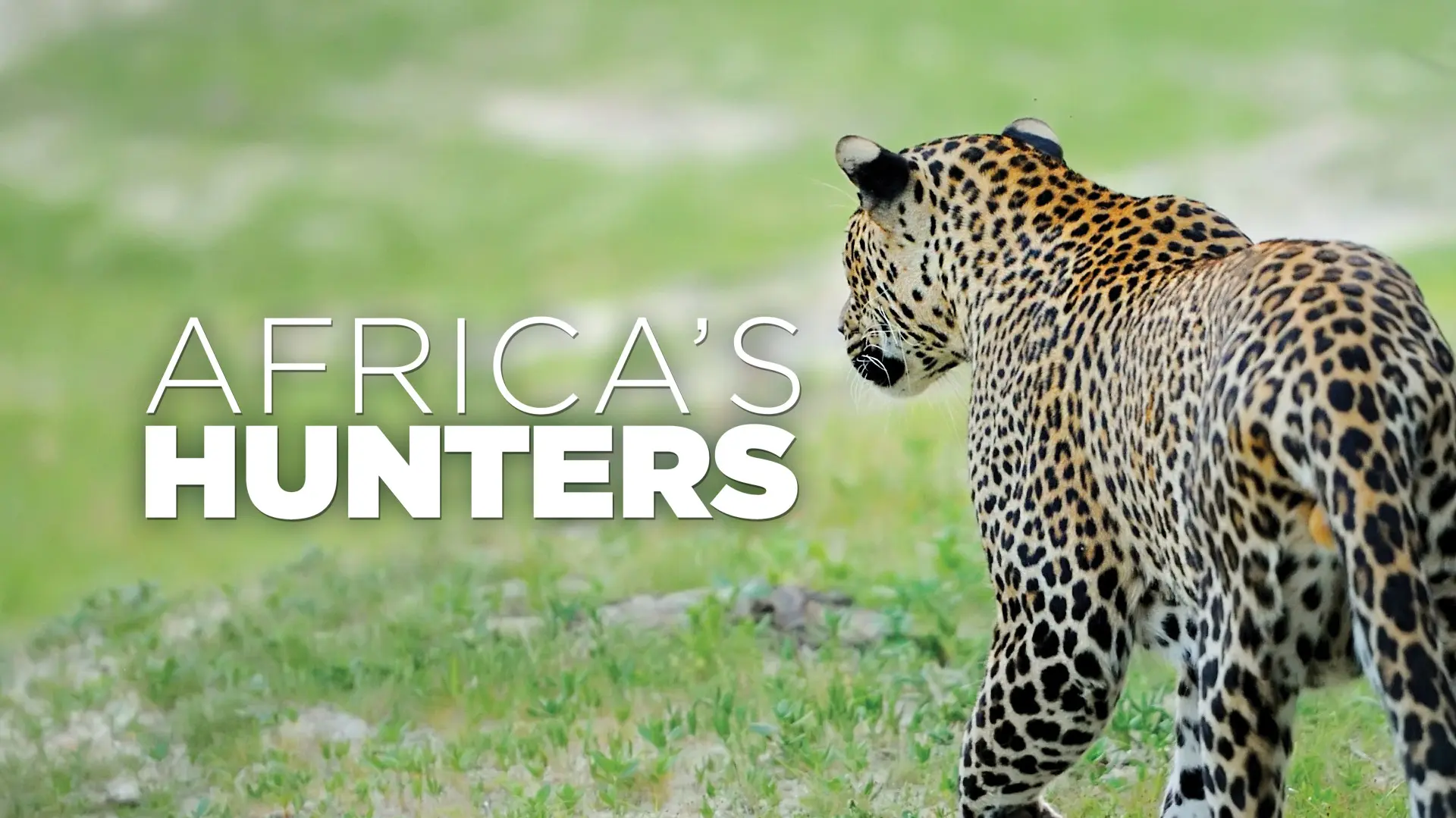 Africa's Hunters