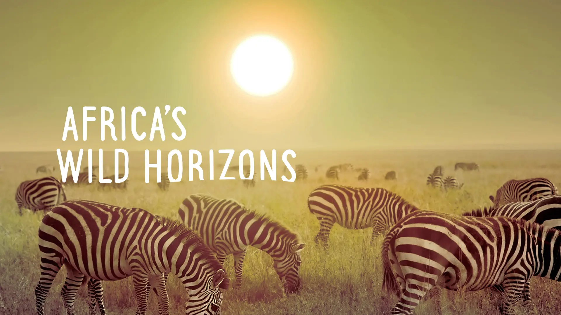 Africa's Wild Horizons