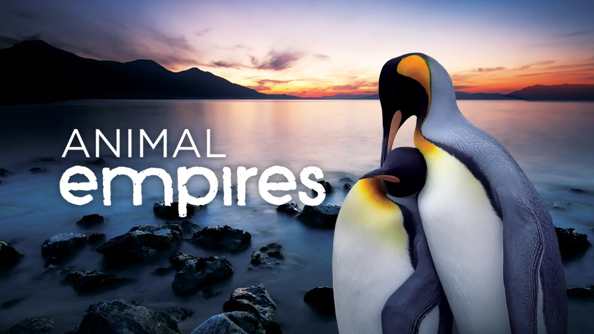Animal Empires