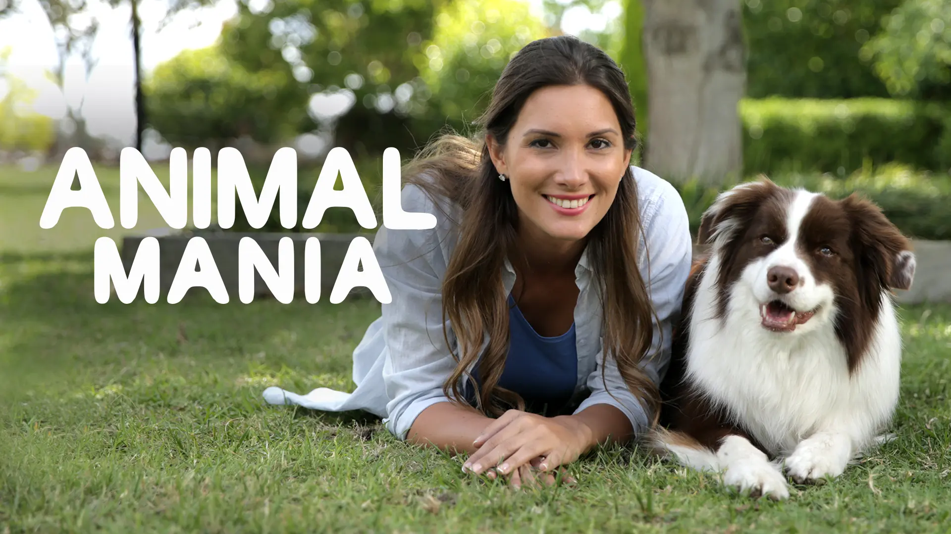 Animal Mania