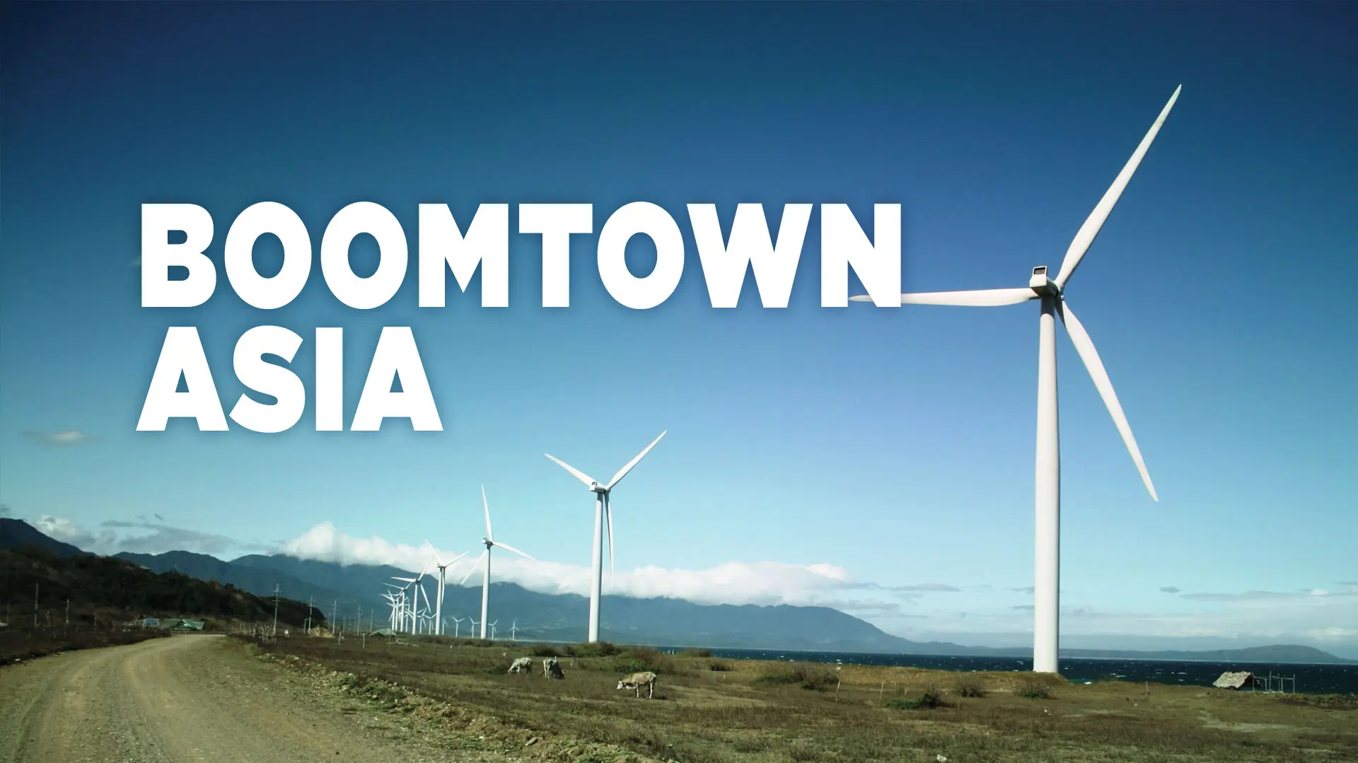 Boomtown Asia