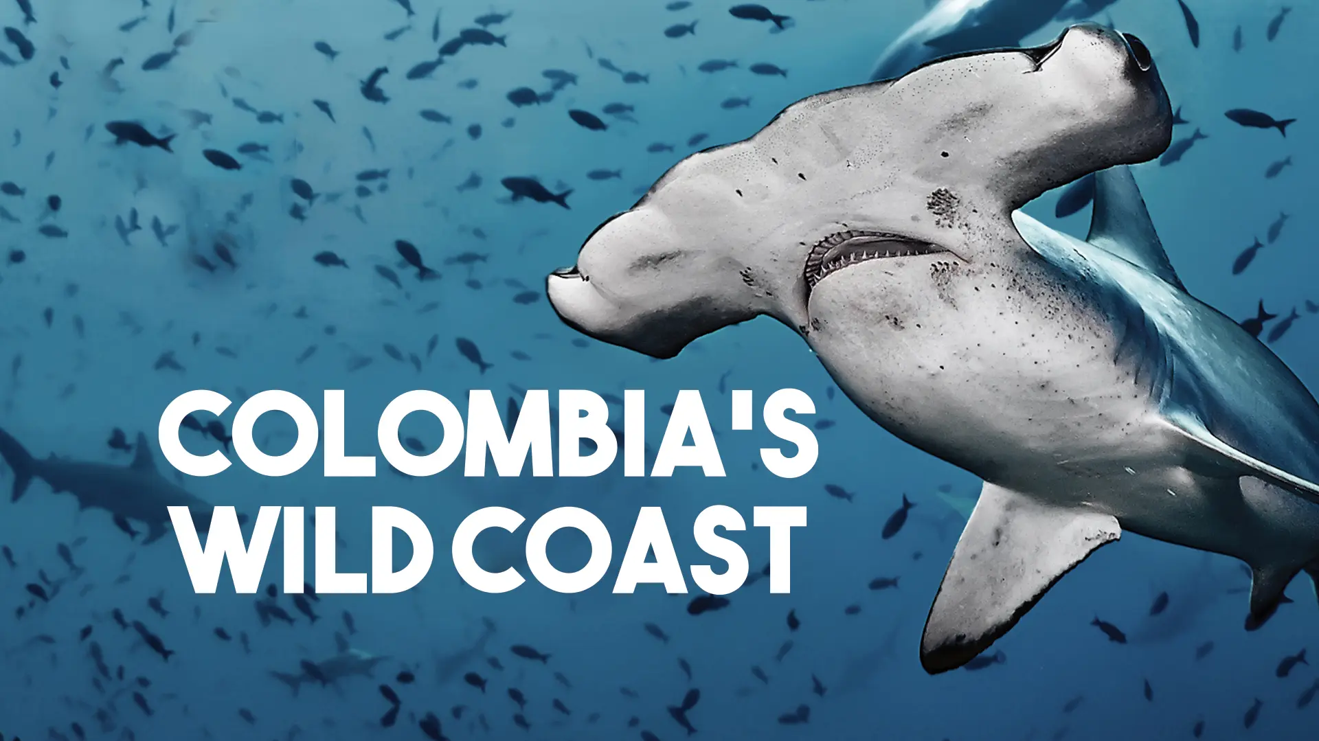 Colombia's Wild Coast