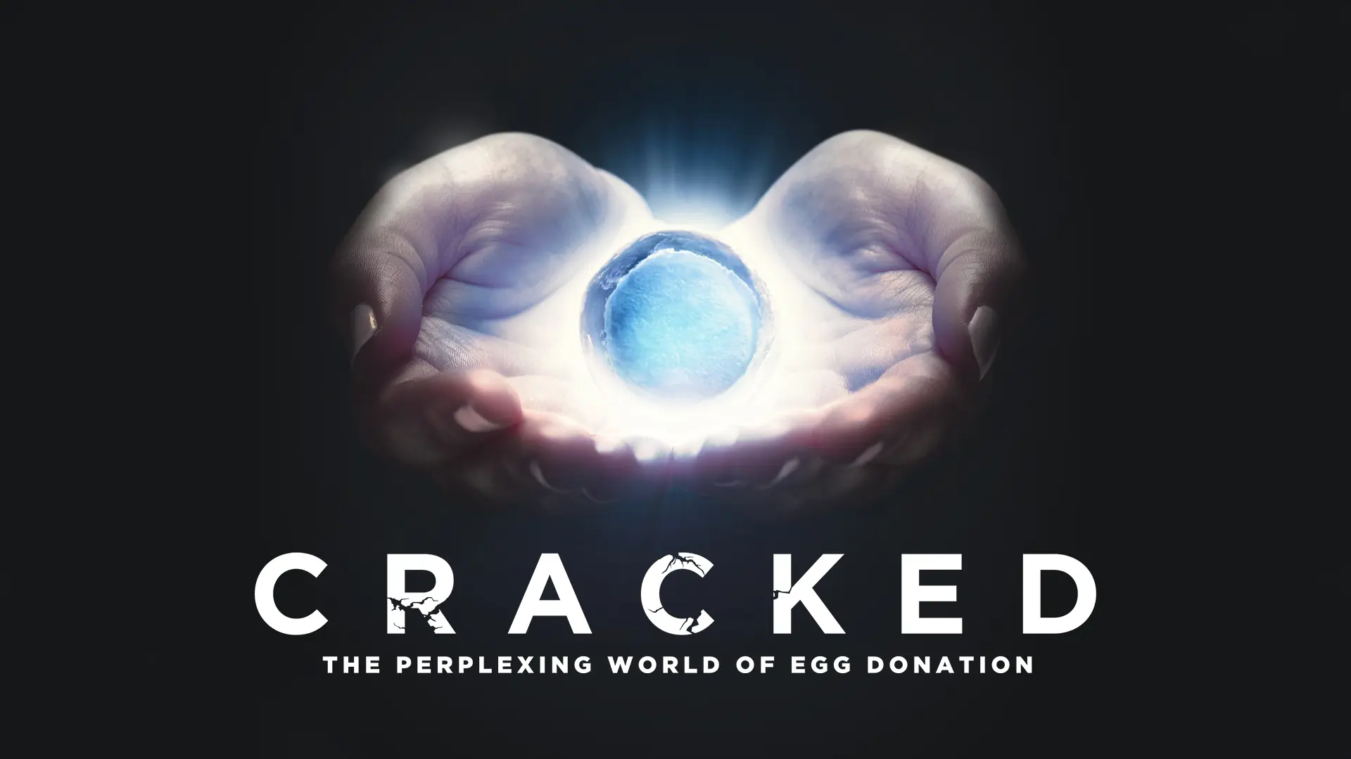 Cracked: The Perplexing World of Egg Donation