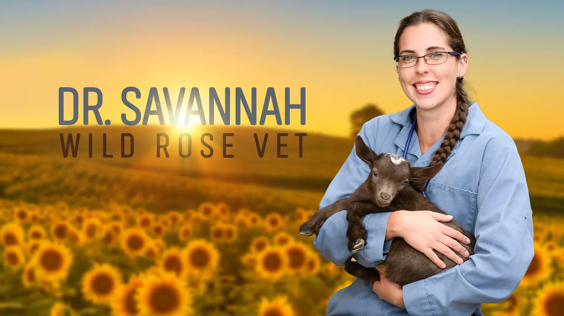 Dr. Savannah: Wild Rose Vet