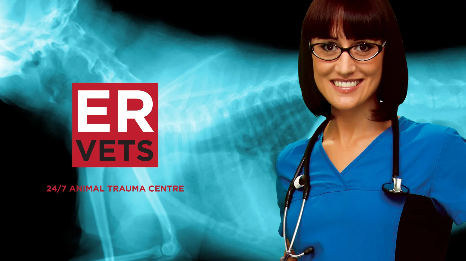 ER Vets