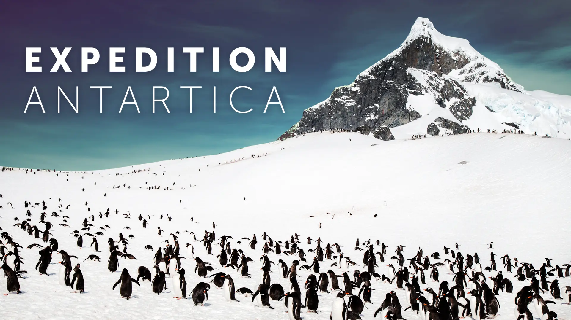 Expedition Antarctica