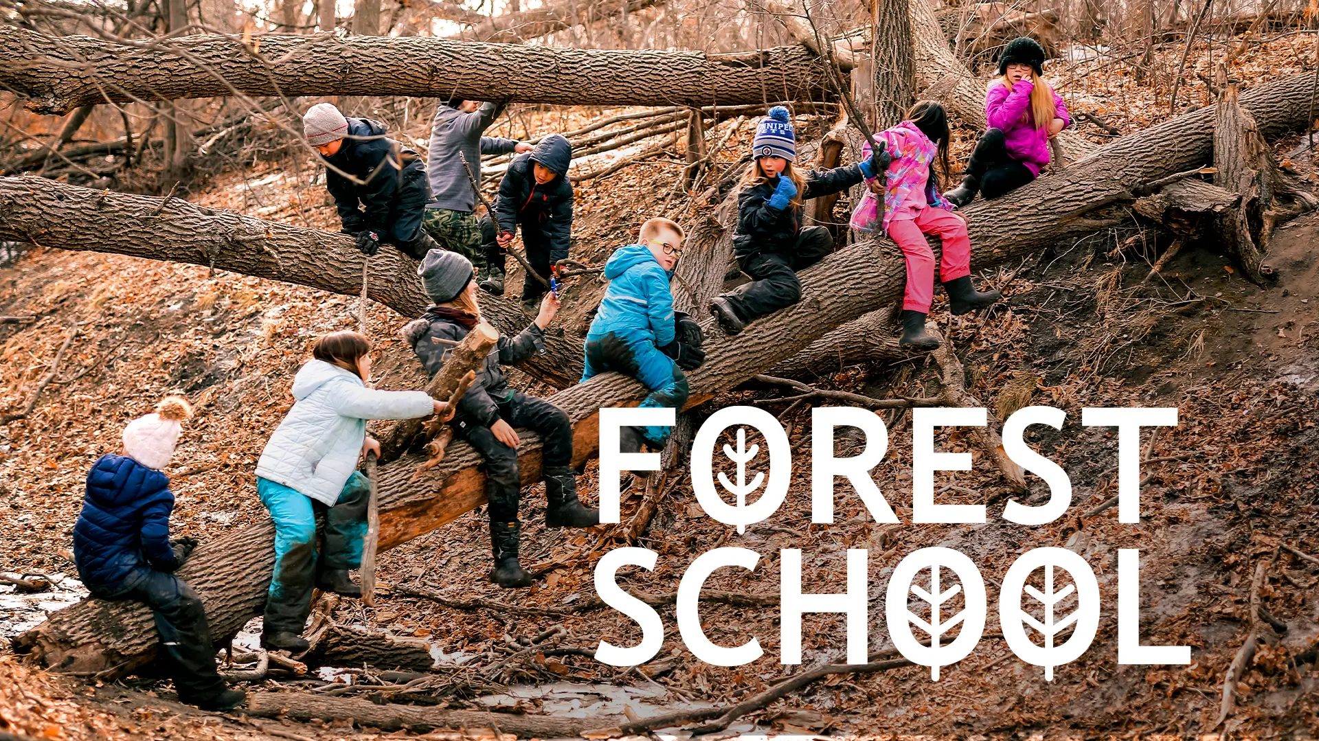 Forest School