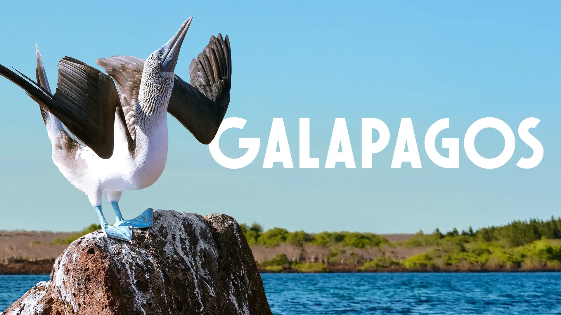 Galapagos