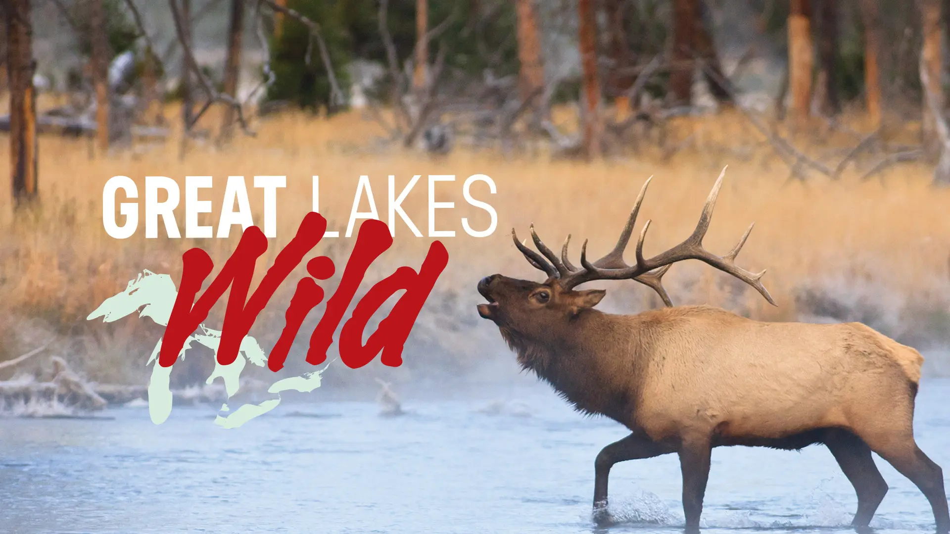 Great Lakes Wild