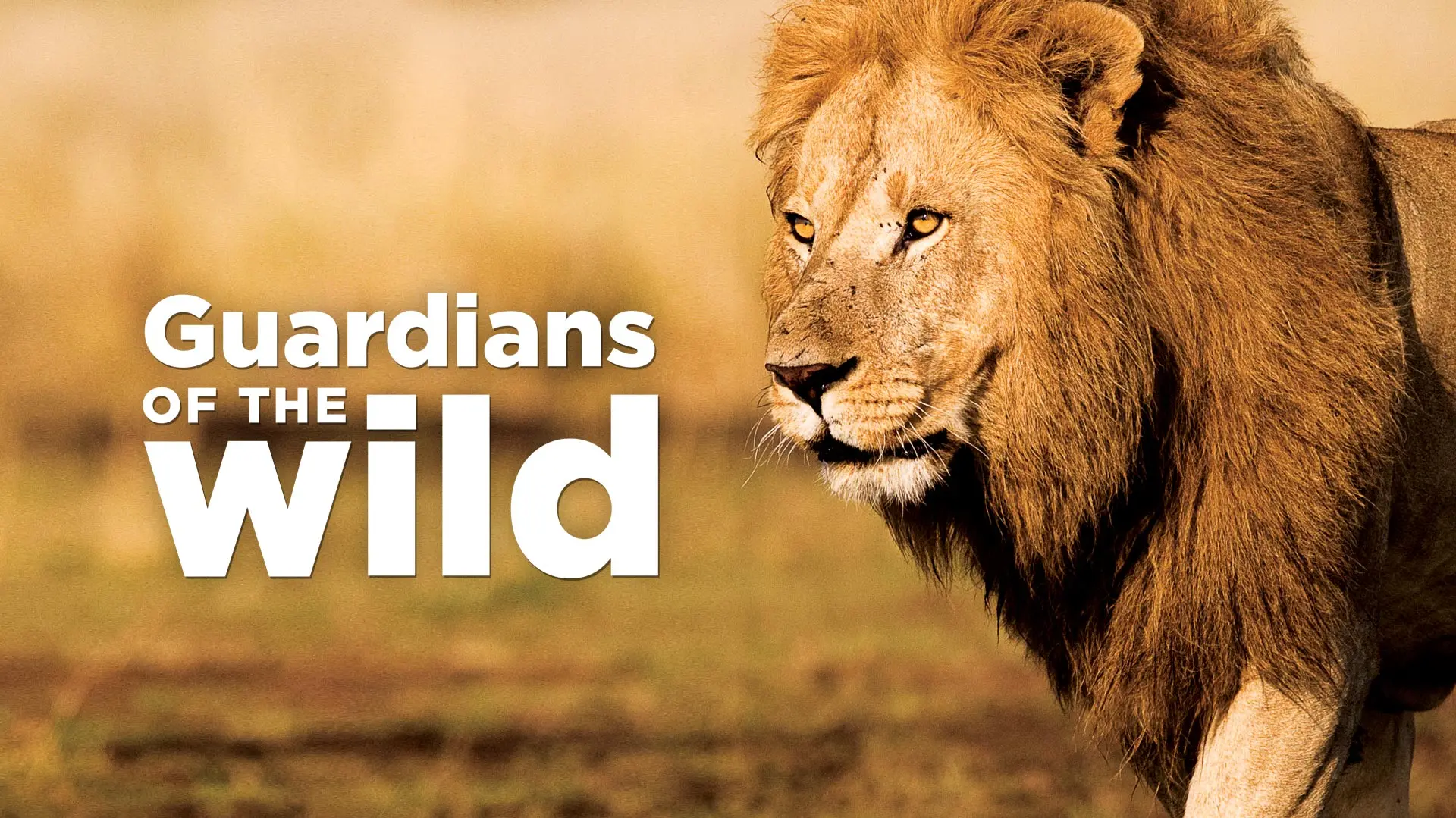 Guardians of the Wild