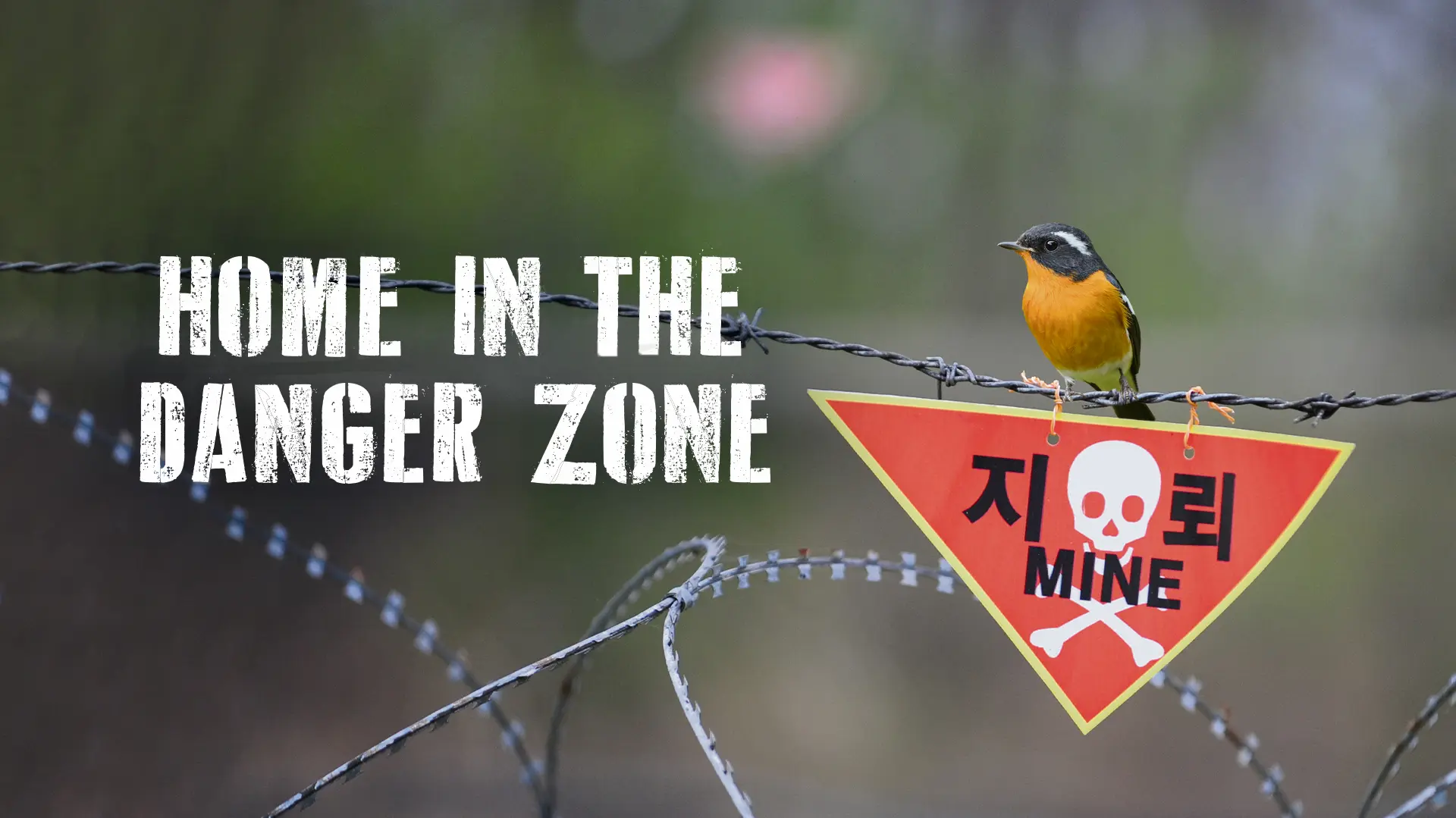 Home In the Danger Zone