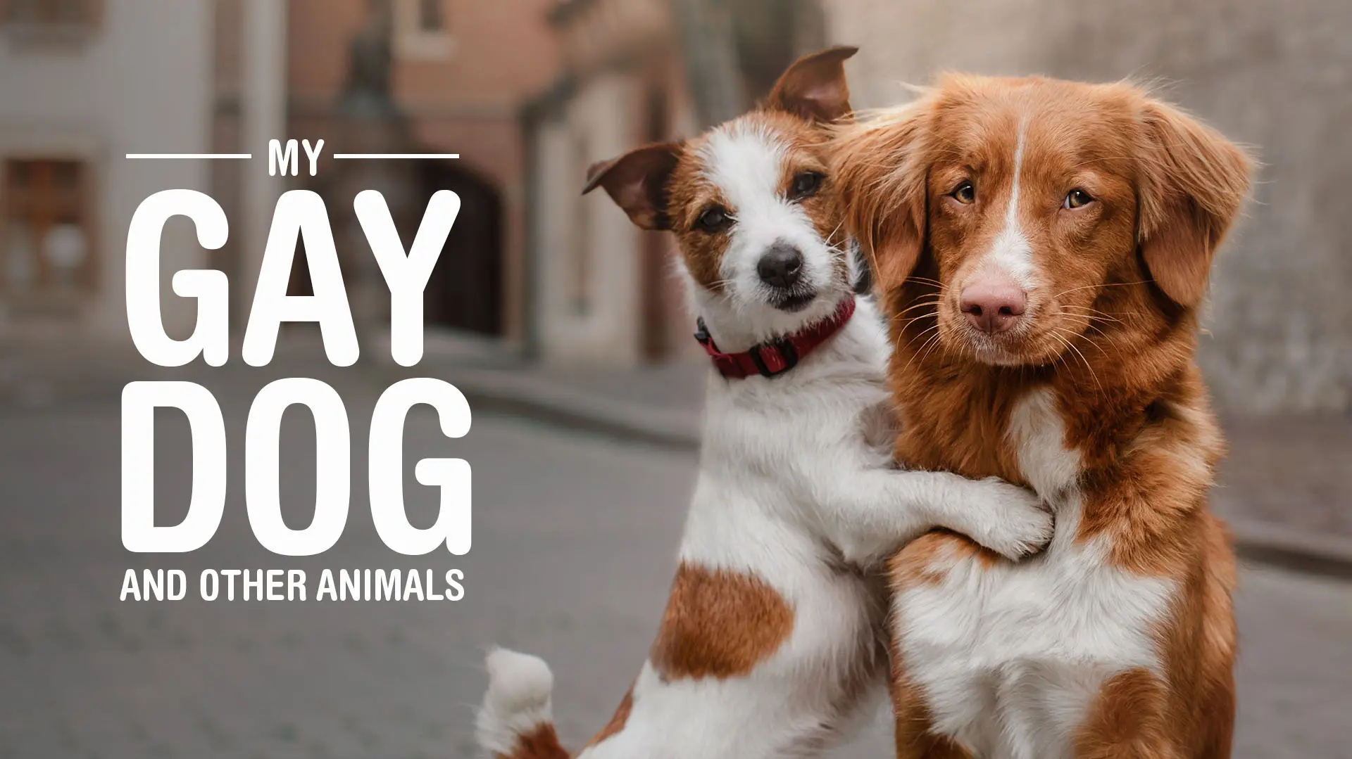 My Gay Dog And Other Animals