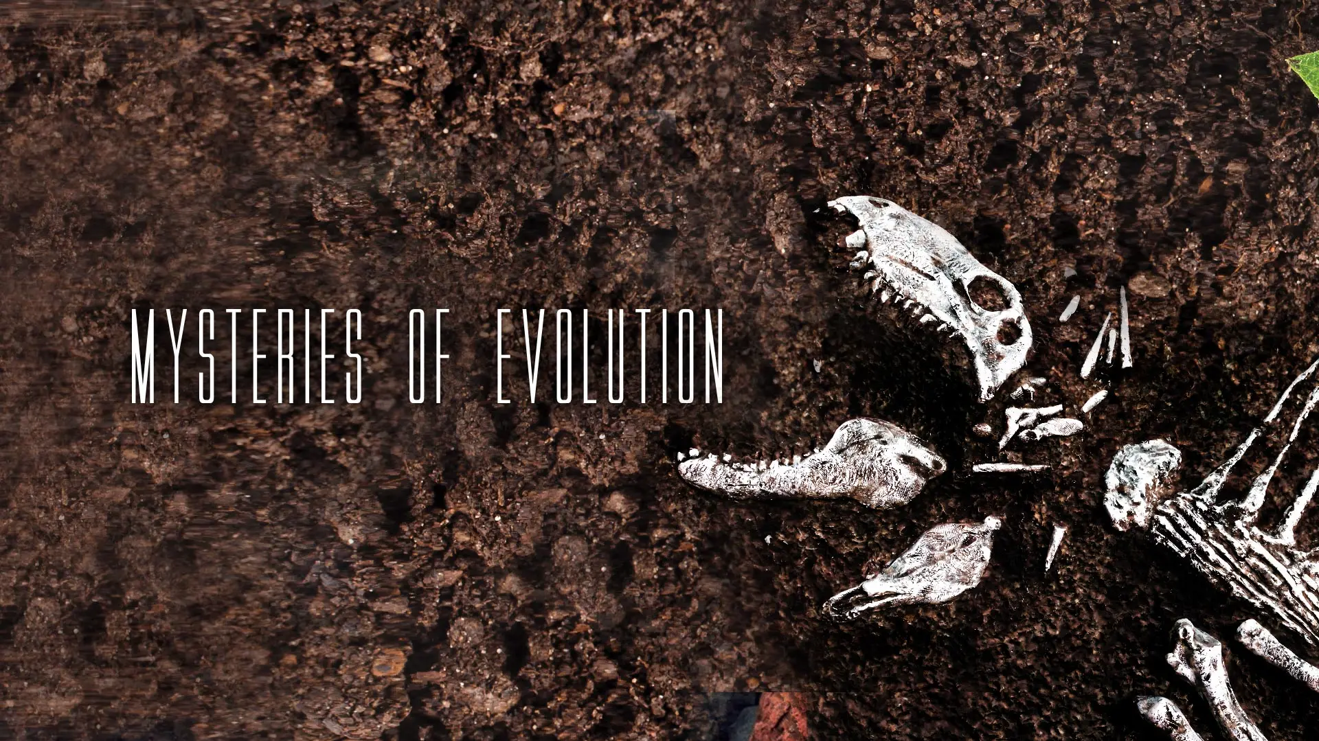 Mysteries of Evolution