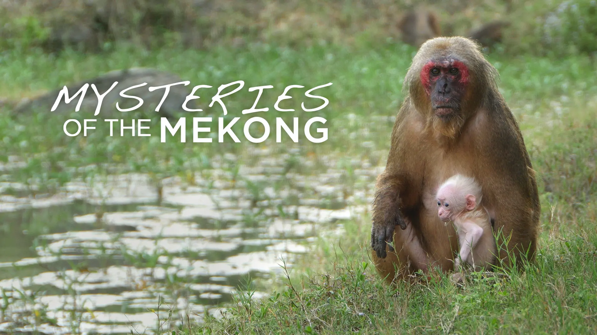 Mysteries Of The Mekong