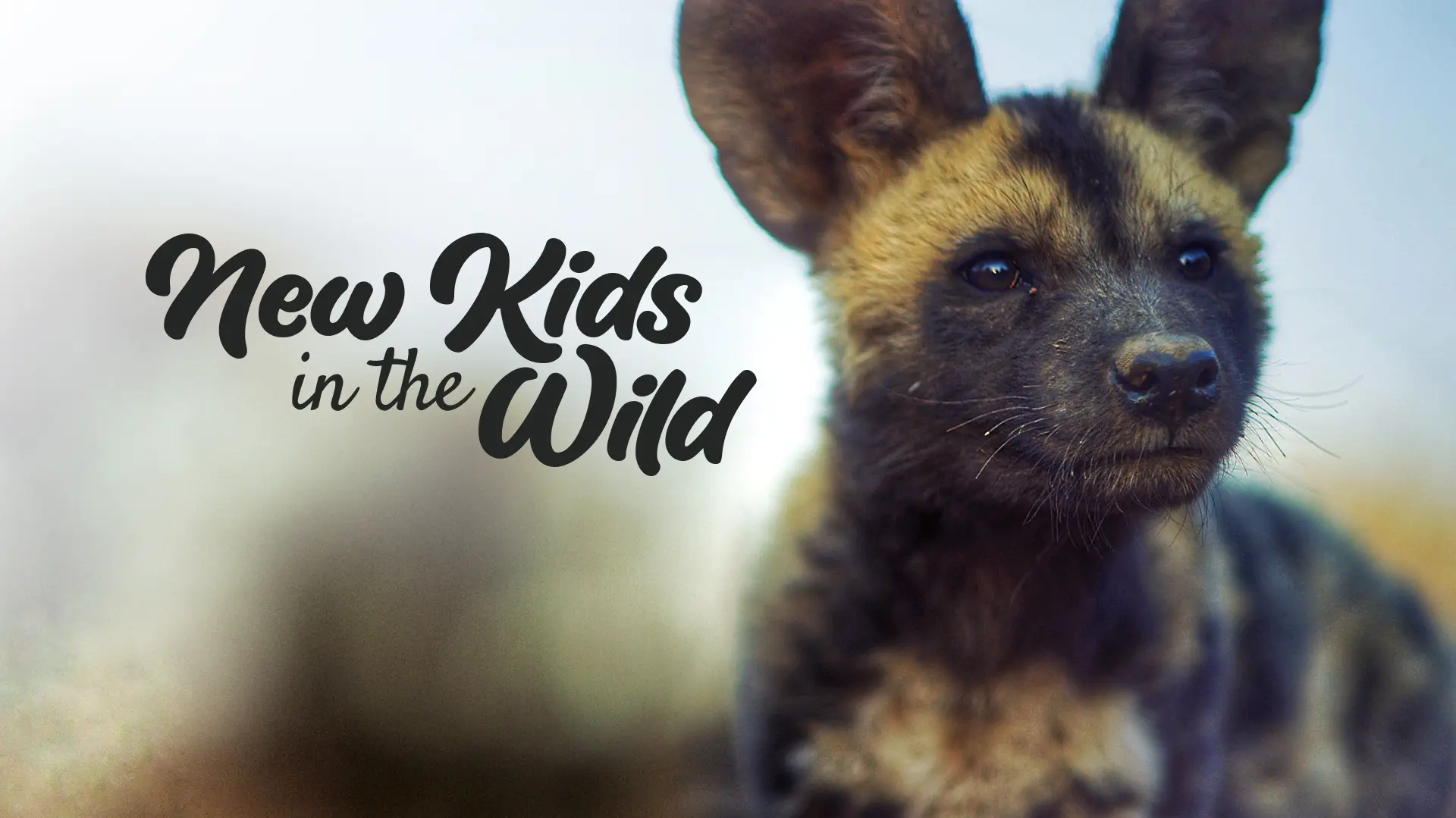 New Kids In The Wild