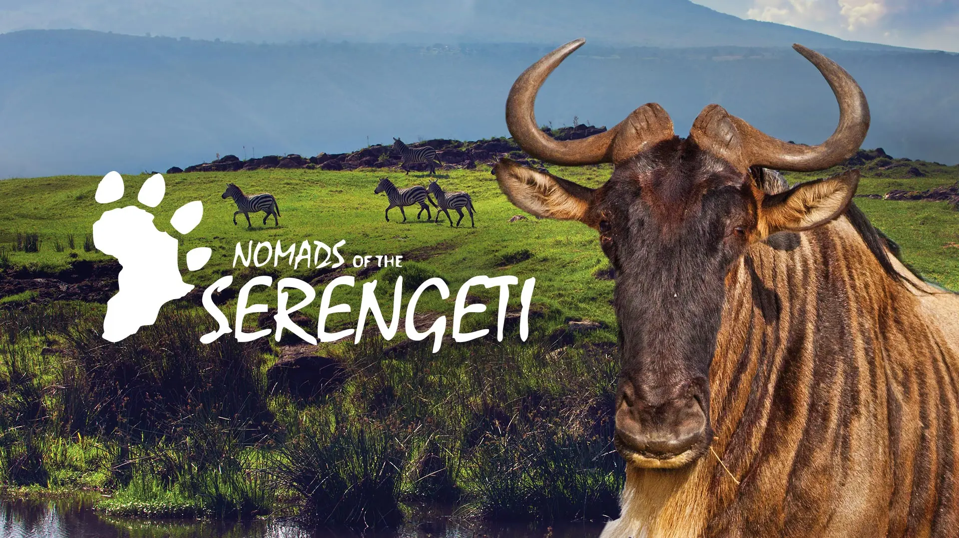Nomads of the Serengeti