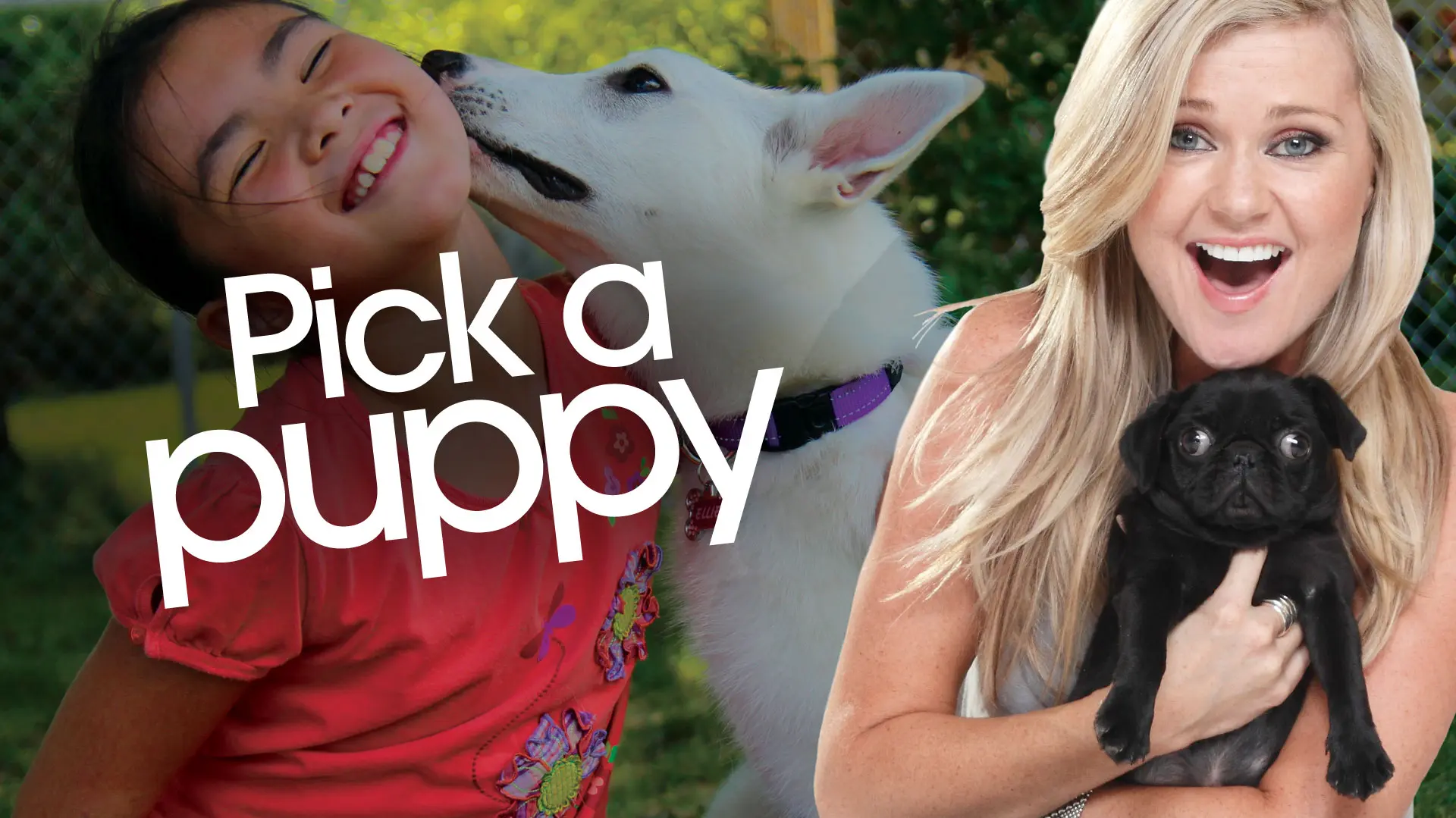 Pick a Puppy