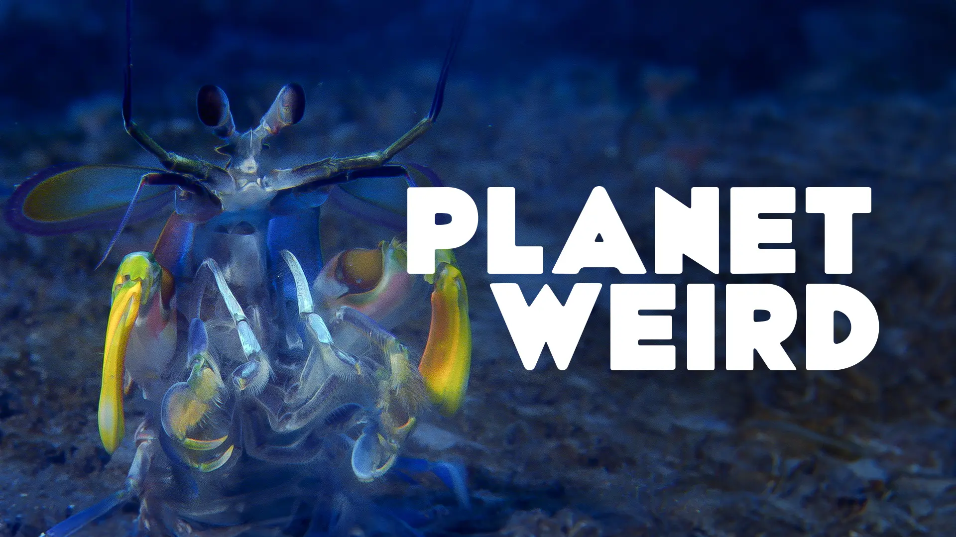 Planet Weird