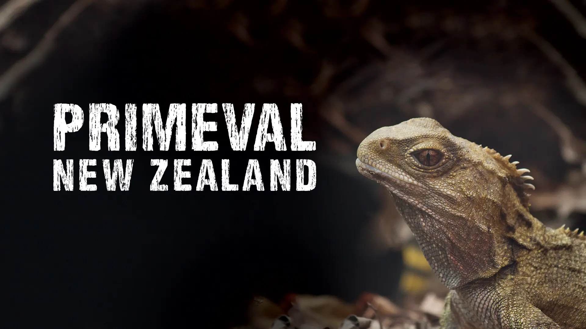 Primeval New Zealand 