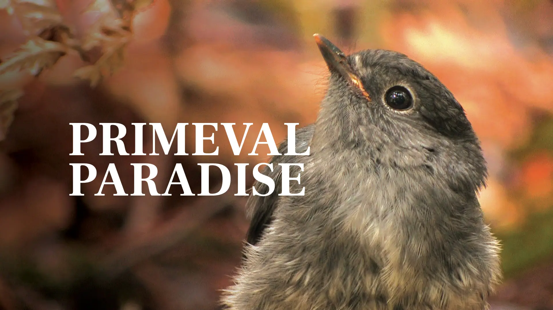 Primeval Paradise