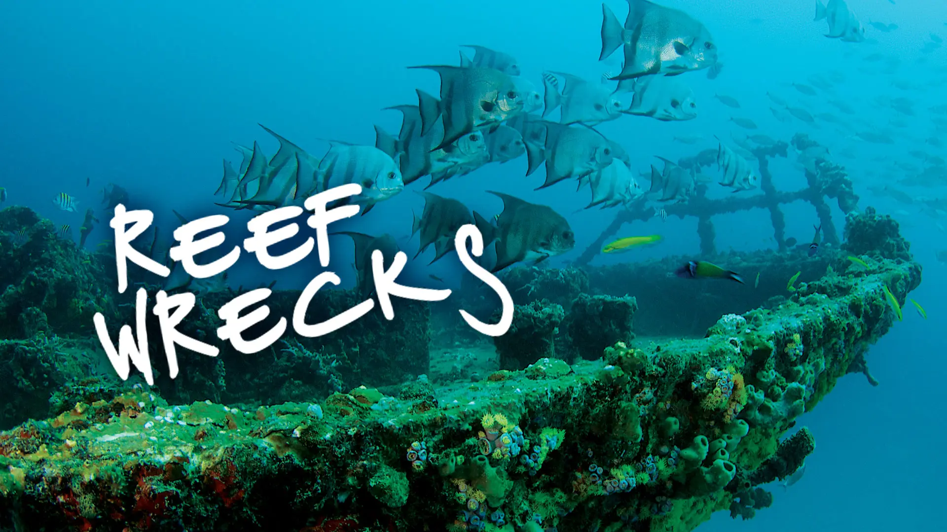 Reef Wrecks