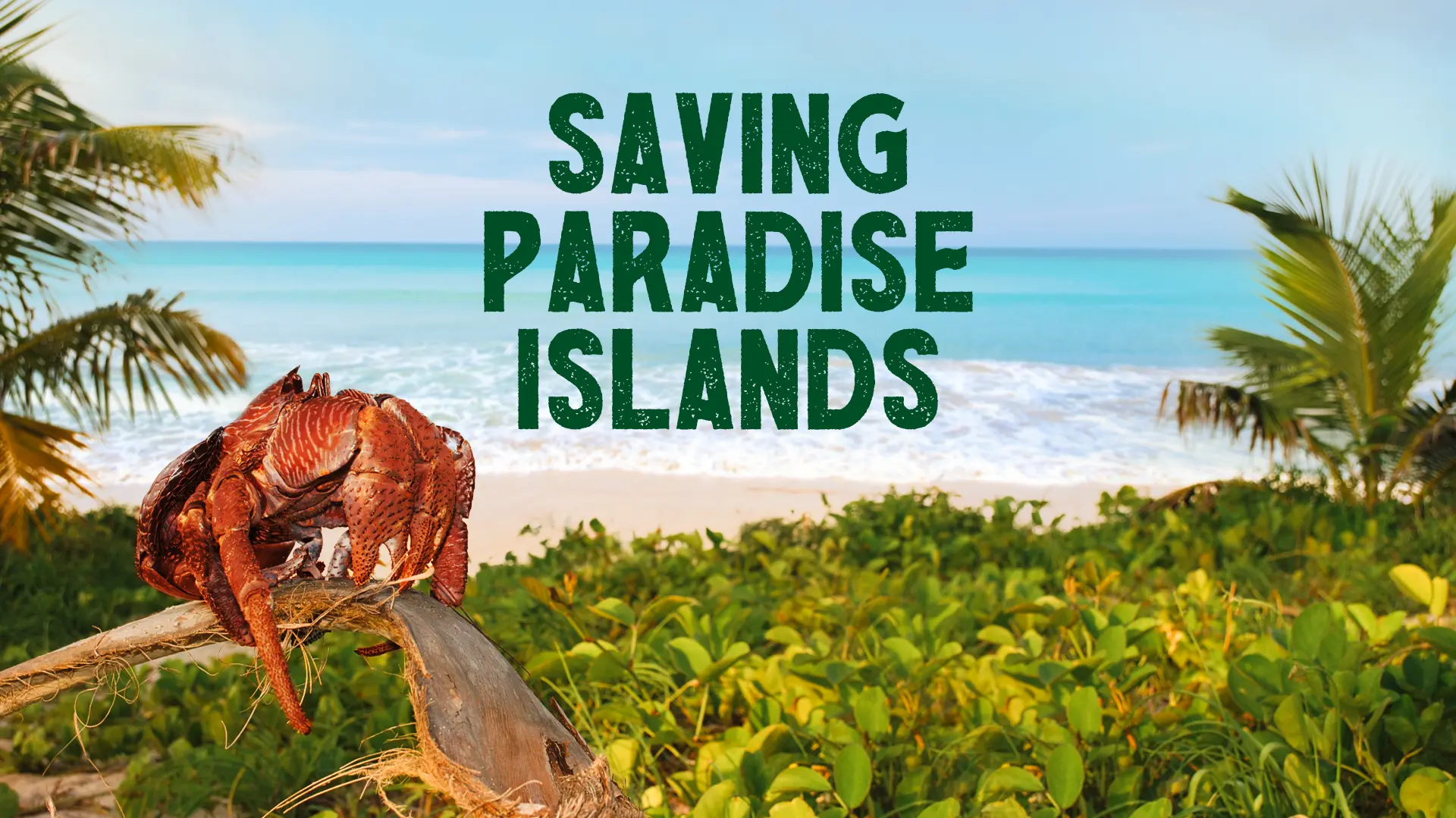 Saving Paradise Islands