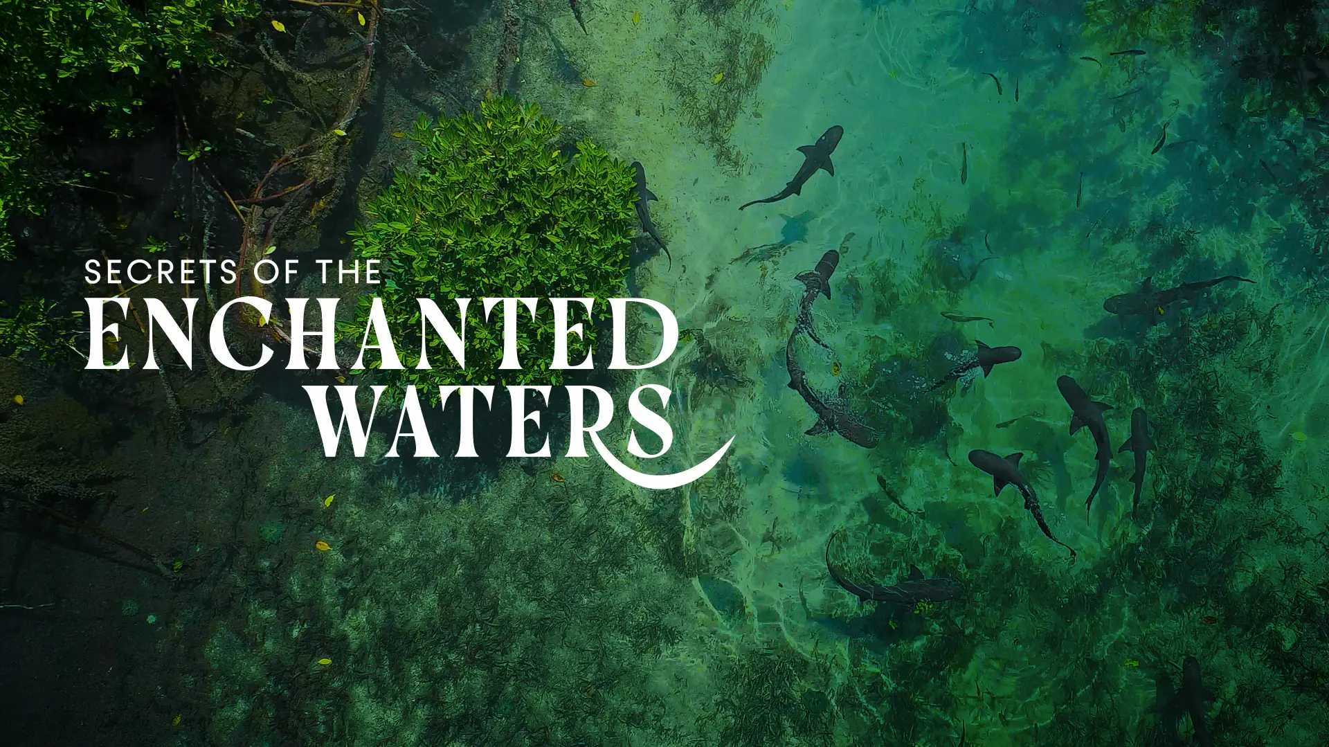 Secrets Of The Enchanted Waters