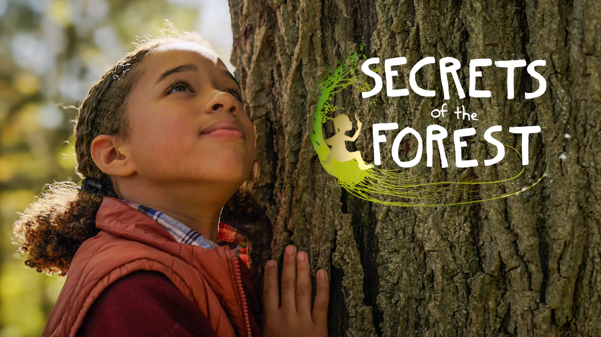 Secrets of the Forest