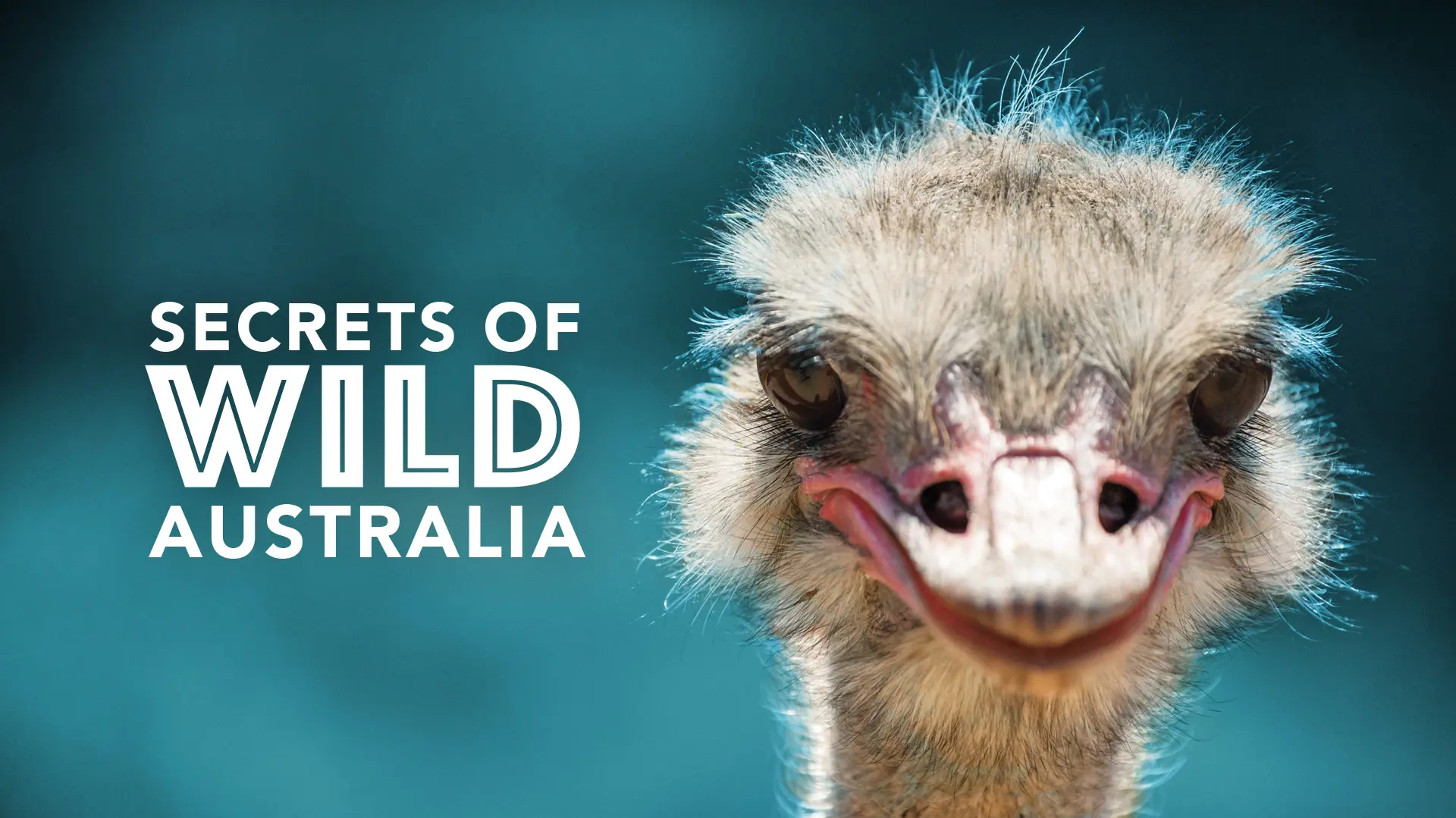 Secrets of Wild Australia