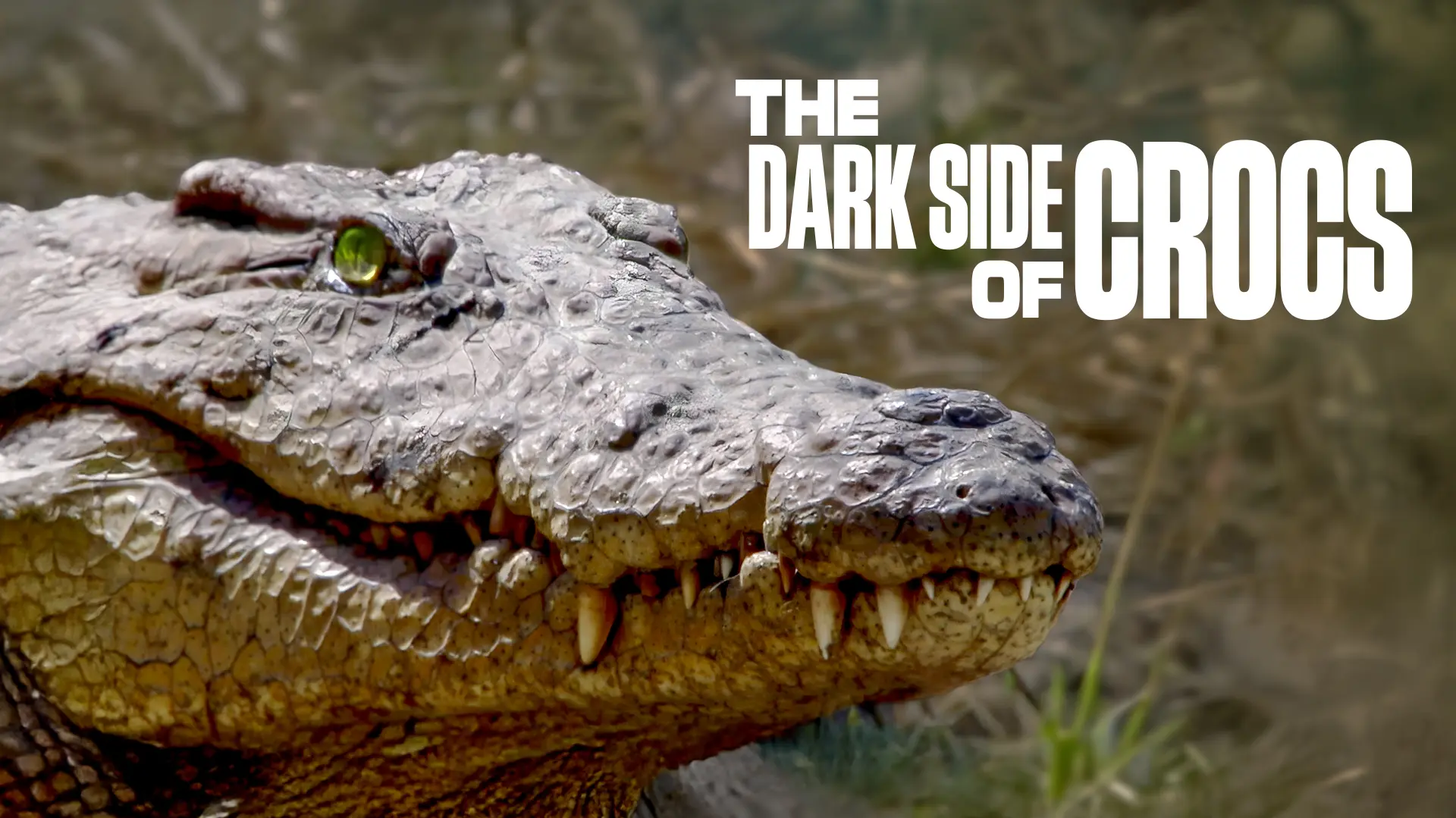 The Dark Side of Crocs