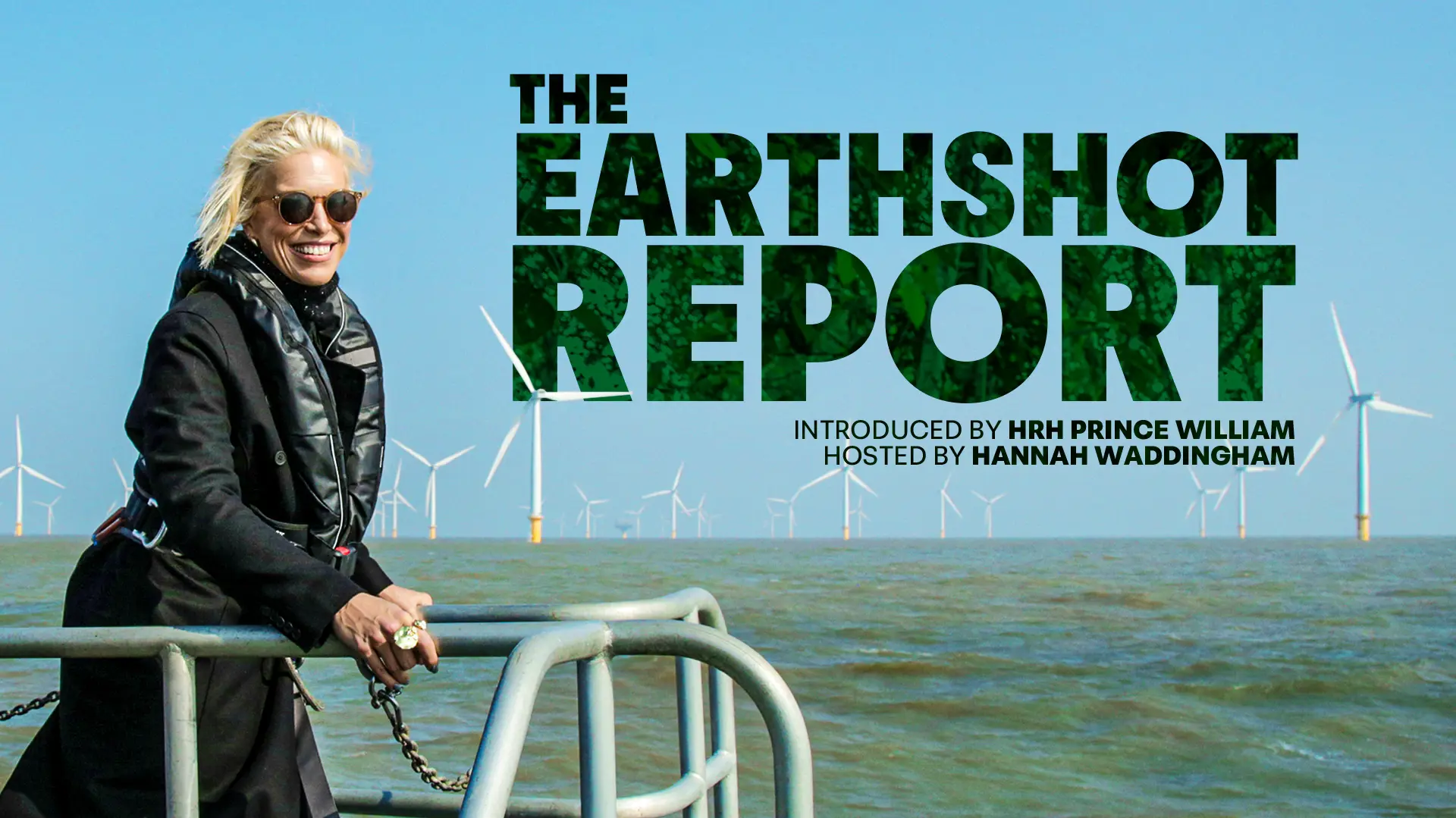 The Earthshot Report