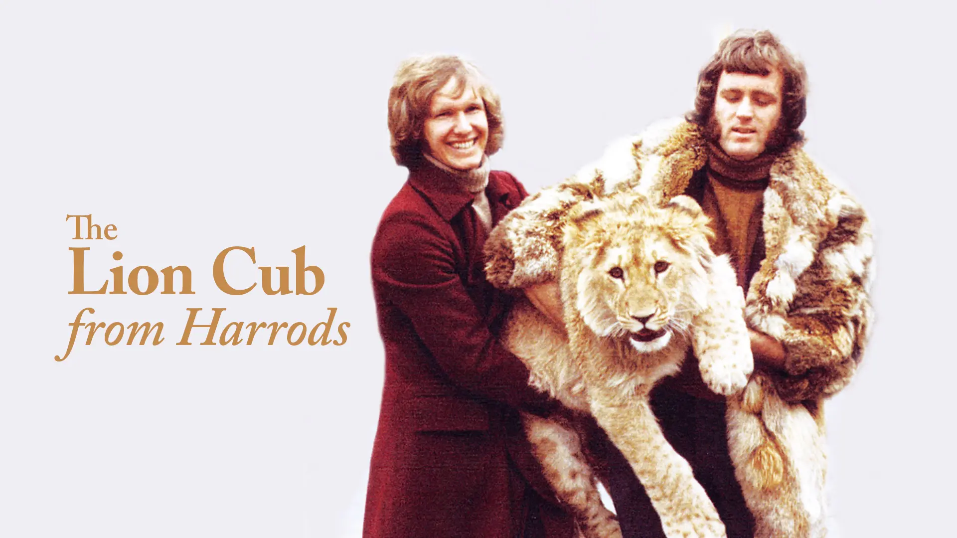 The Lion Cub From Harrods