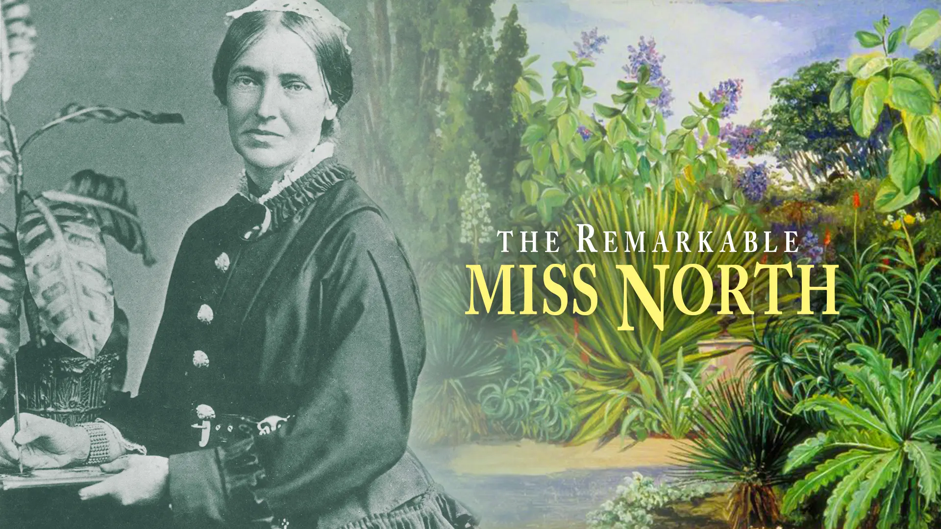 The Remarkable Miss North