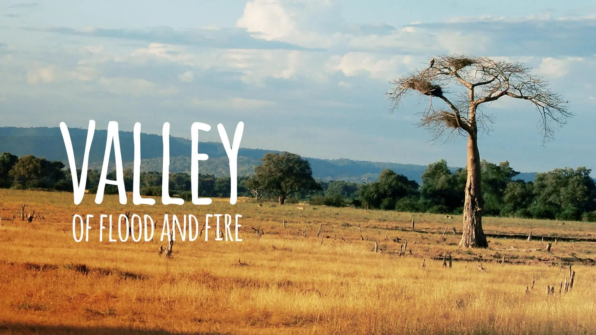 Valley of Flood and Fire