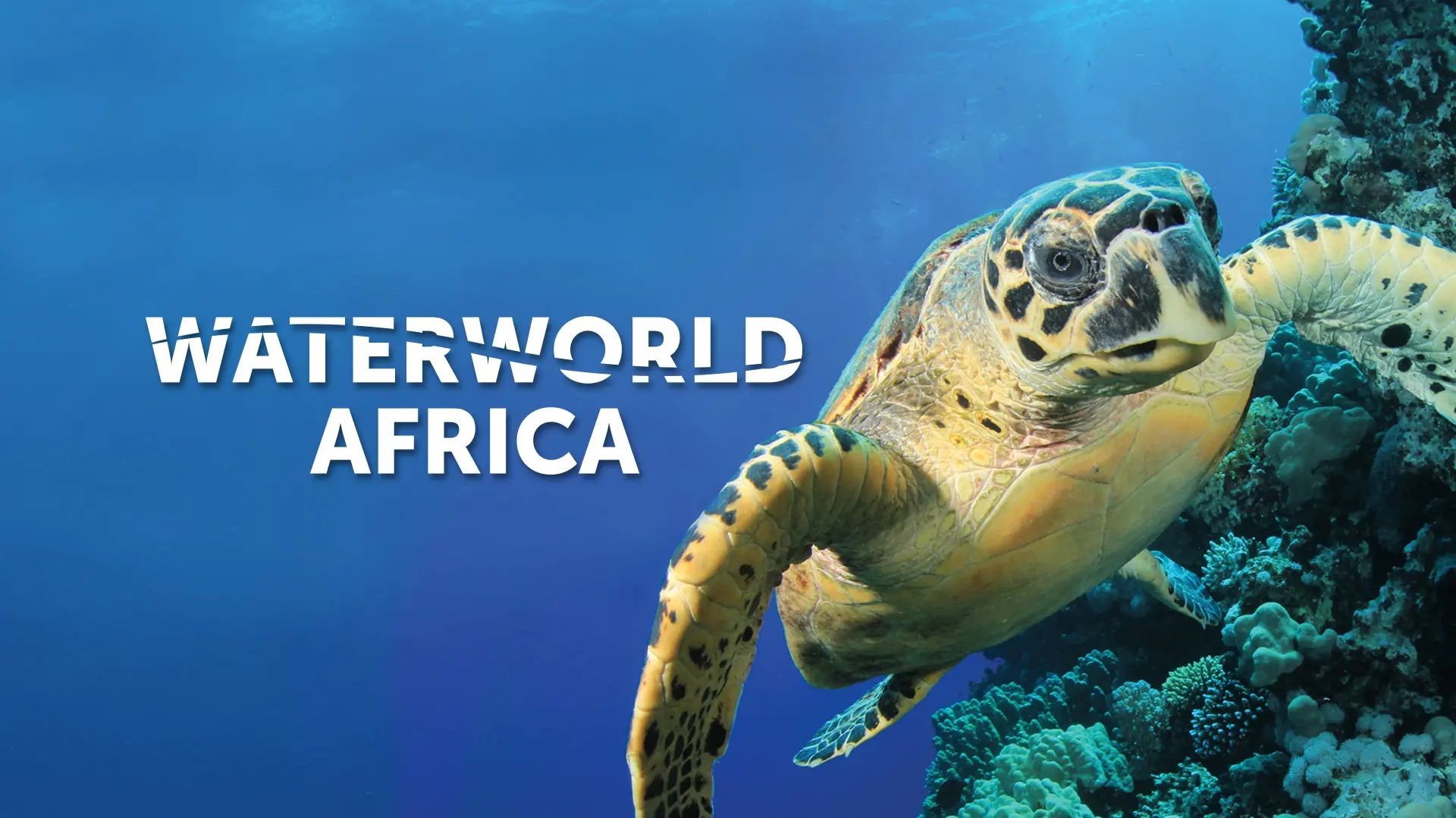 Waterworld Africa