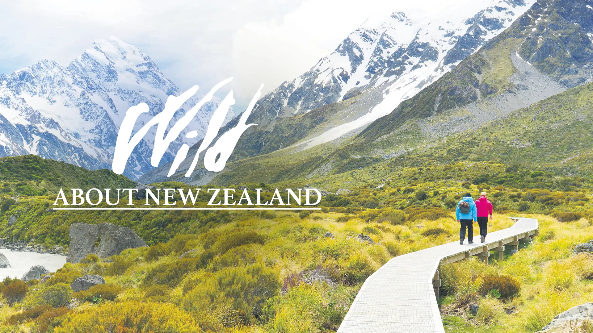 Wild About New Zealand