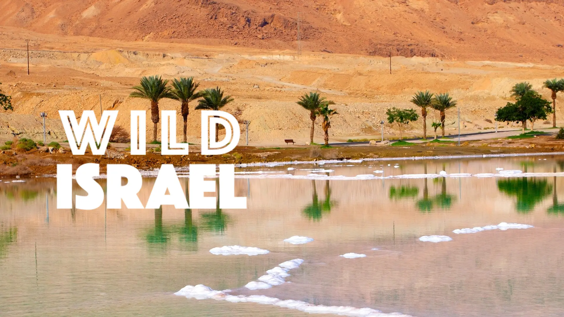 Wild Israel