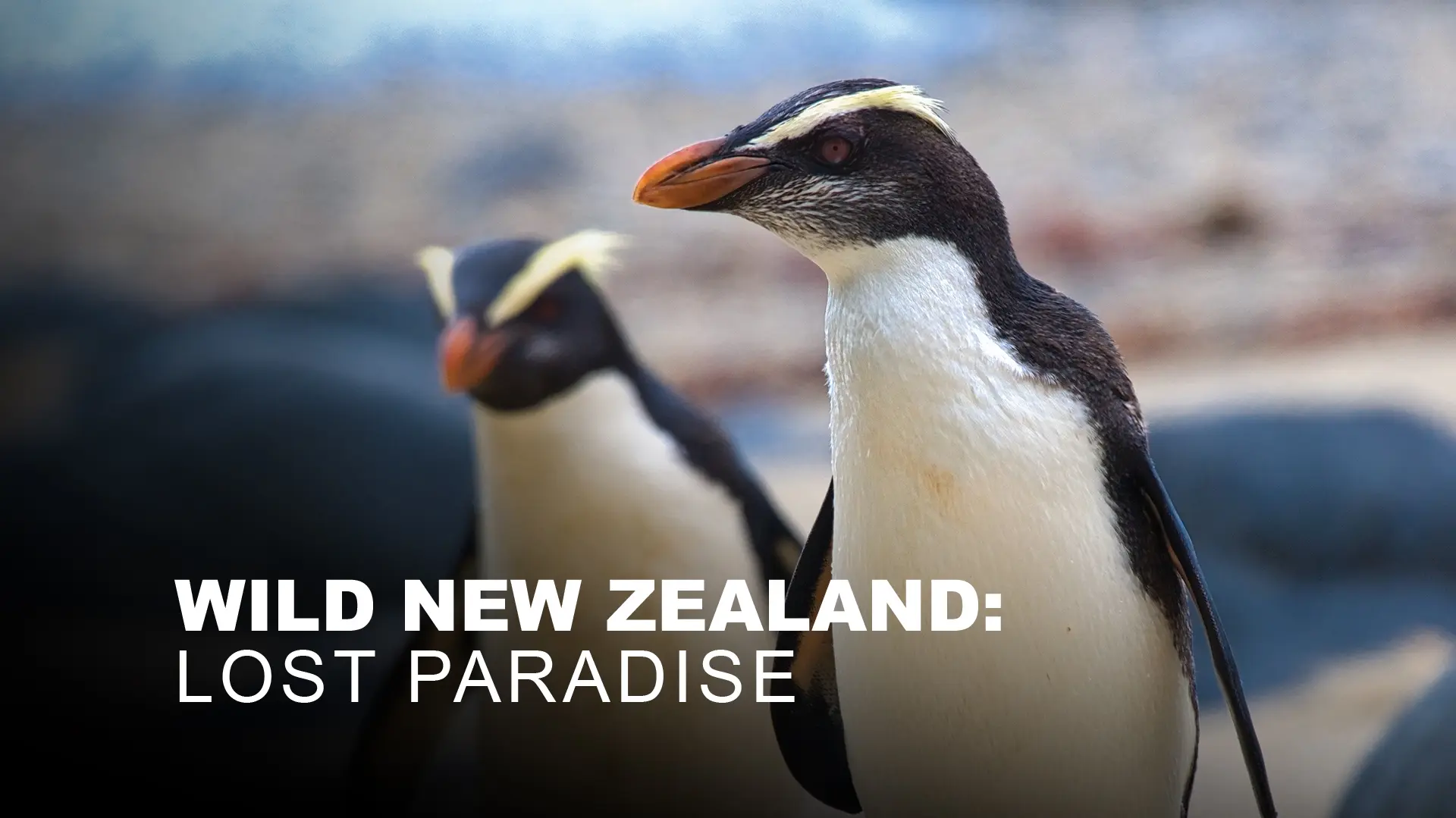 Wild New Zealand: Lost Paradise