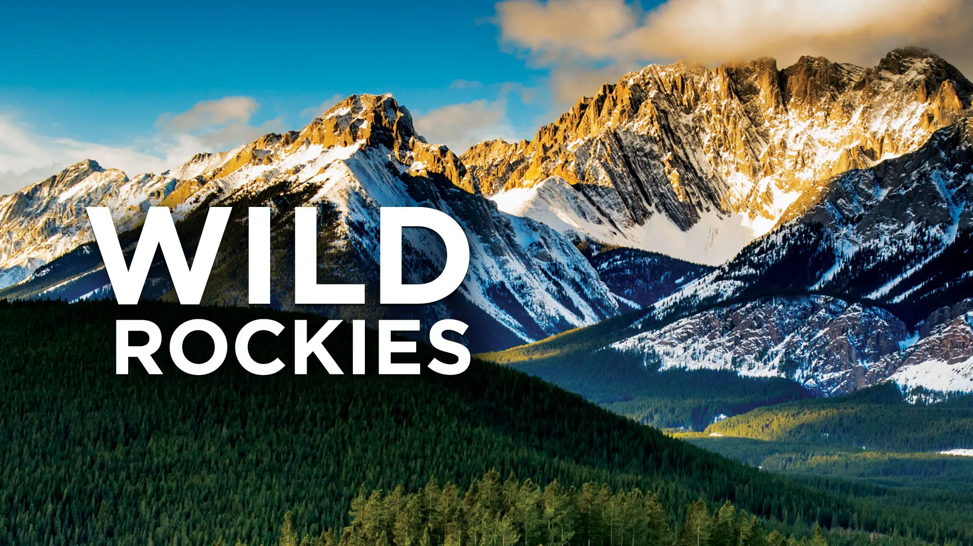 Wild Rockies