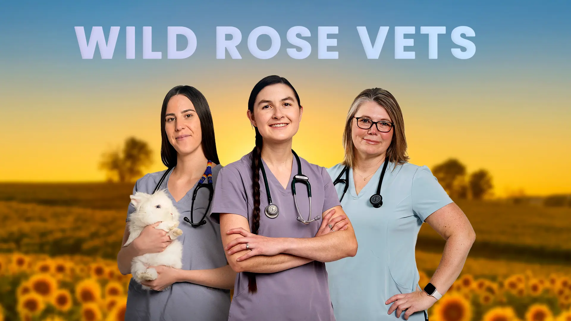 Wild Rose Vets