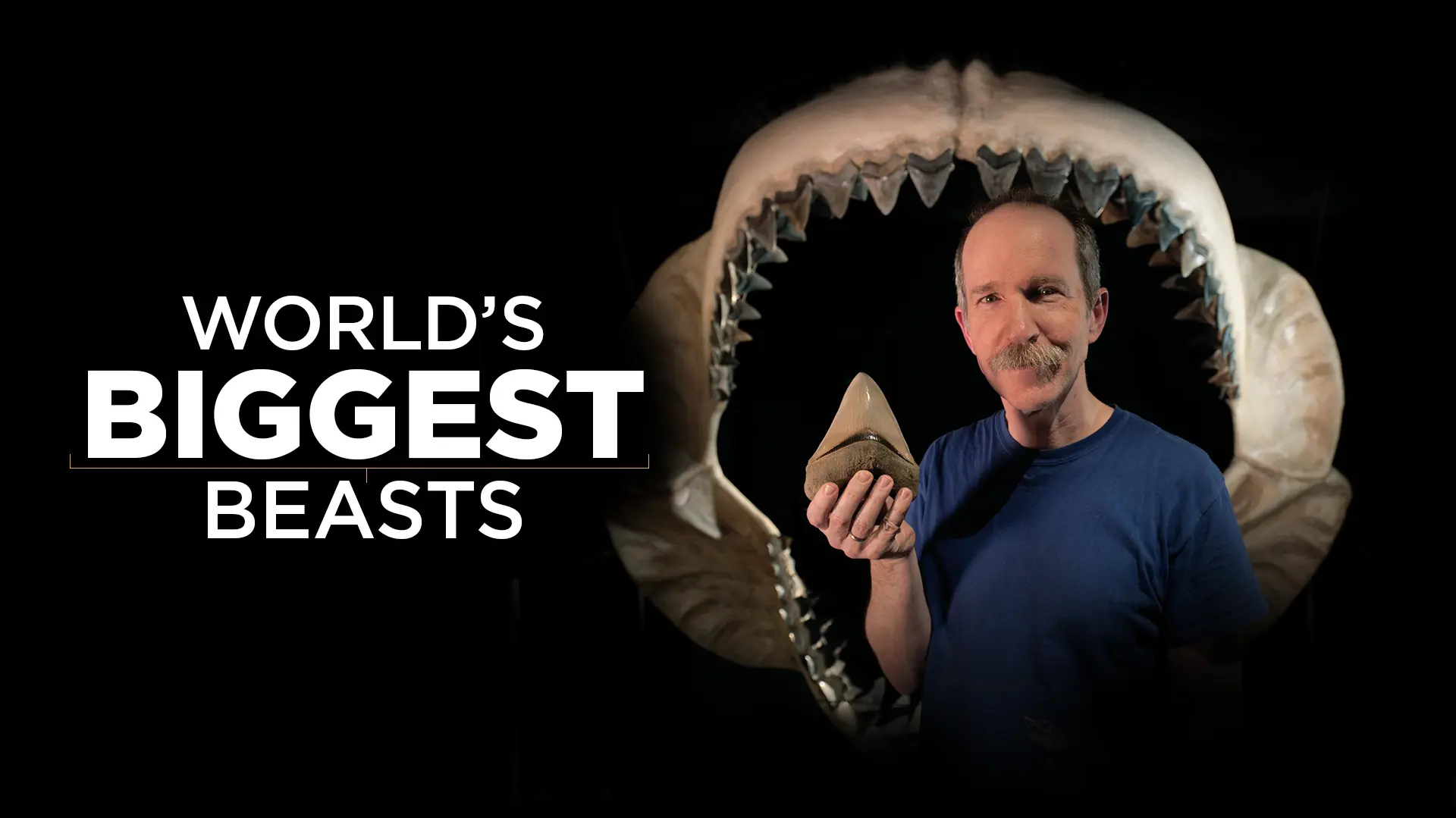 World's Biggest Beasts