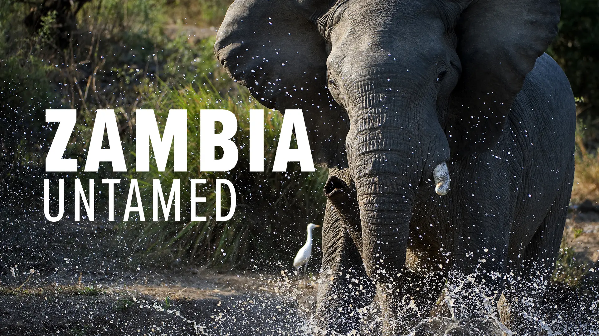 Zambia Untamed