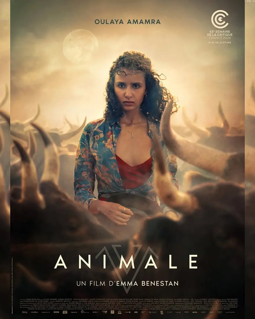 C’est le moment de rentrer dans l’arène.