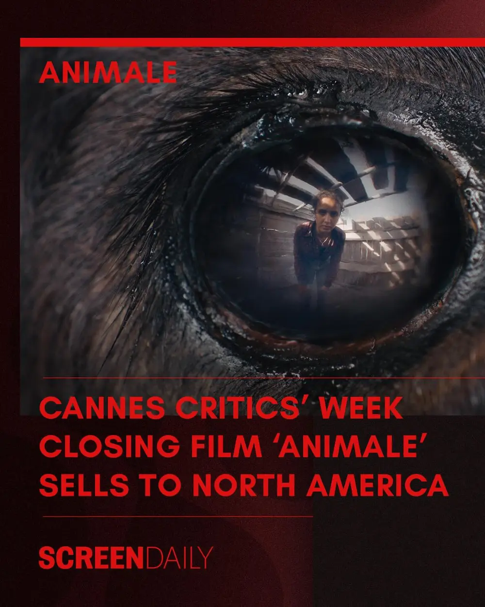 🚨🚨 Emma Benestan’s super-natural horror ANIMALE sells to North America 🚨🚨