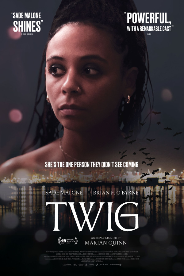 Twig Poster