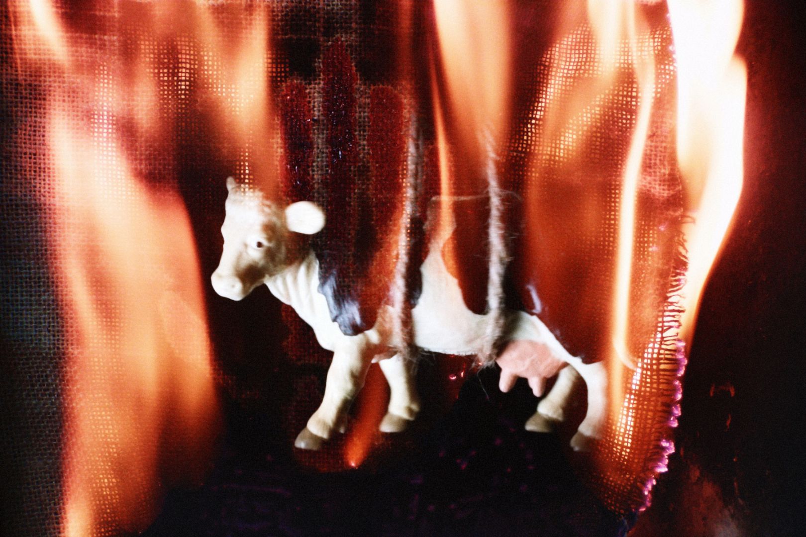 The Legend of the Dun Cow