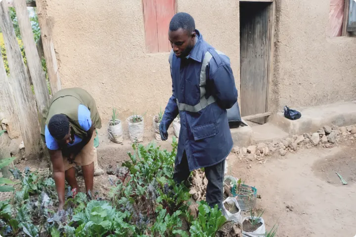 Training on pest management in a backyard garden